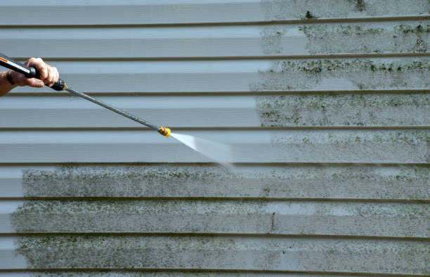 Best Patio and Deck Pressure Washing  in Mmaduke, AR